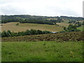 Fields near Woollas Hall Farm