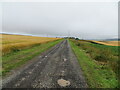 Track through arable fields giving access to West Denside