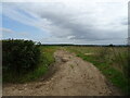 Farm track, Broad Hill