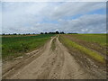 Footpath off Salters Lane