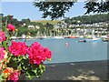 SX8751 : Dartmouth Harbour by Colin Smith