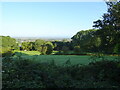 Grazing and woodland near Southam