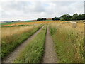 Track between fields descending to a minor road near Alpity