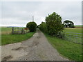 Hedge enclosed track giving access to Brawliemuir Farm