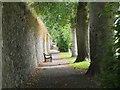 NT2440 : Seats by the trees, Hay Lodge Park Peebles by Jim Barton