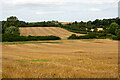 SK3617 : Fields around the Money Hill region, Ashby-de-la-Zouch by Oliver Mills