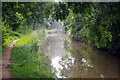 Ashby Canal, near Bulkington