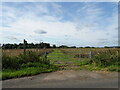 Footpath to Hinton on the Green