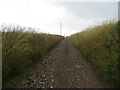 Track giving access to North Hill of Craigo