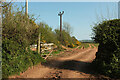 Track into field near Downton