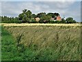 View to Sheringham on Dole Road, Crowle Moors