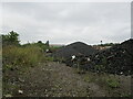 Coal stacks, Holwell Works