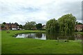 Tholthorpe village pond