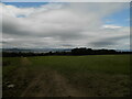 Farmland at Leys Home Farm