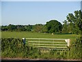 Gate, Ashford Bowdler