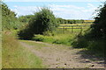 Boat Road, Newport Wetlands NNR