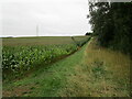 Footpath to Old Dalby