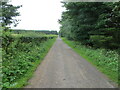 Tree and hedge-lined minor road near to Ecclesgreig