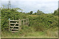 Overgrown gated footbridge