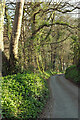 Lane approaching Old Mill Creek