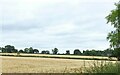 Harvest time on Trowell Moor