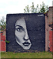 Street art by the Glasgow Branch of The Forth and Clyde Canal