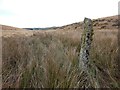 SX1675 : Estate Boundary Marker in the valley between Brockabarrow Common and Sprey Moor by P G Moore