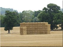 SO8246 : Stack of straw bales by Philip Halling