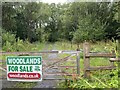 Woodlands for sale