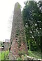 Ivy covered chimney