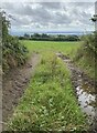 Rutted entrance to farmland