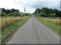 Minor road and Bridge crossing Lunan Water at Balmullie