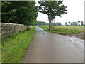 Road near Marquis Hill, Kinaird