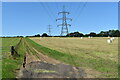 Field cut for haylage, Earl Stonham