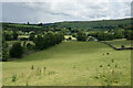 Field at the bottom of Coombs Dale