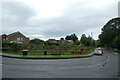 Allotments beside Westfield Lane