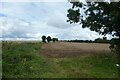 SE4836 : Field north of Headwell Lane by DS Pugh
