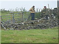 Dry stone wallers