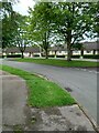 Small area of trees and grass on Greenfields Crescent