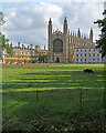 TL4458 : Mowed wildflower meadow at King's College by John Sutton
