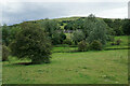 Green fields at the bottom of Middleton Dale