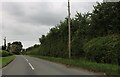 Station Road south of Wingrave