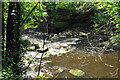 River Derwent near Calver