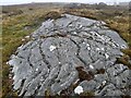 NC7563 : Exposed Rock, Cnoc Mor by David Bremner