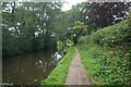 Stratford-upon-Avon Canal towards bridge #23