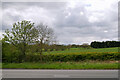 Farmland west of the A1 near to Old Swarland