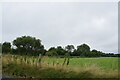 ST5500 : Field near Kingcombe Cross Roads by Trevor Harris