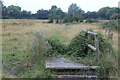 Partly overgrown footbridge over grip