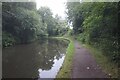 Stratford-upon-Avon Canal towards bridge #13