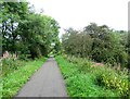 The Derwent Walk at Shotley Bridge